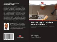 Copertina di Blocs en béton cellulaire autoclavé (CAA) :