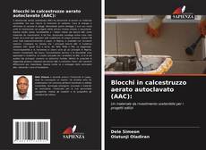 Copertina di Blocchi in calcestruzzo aerato autoclavato (AAC):