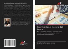 Inserimento nel mercato del lavoro kitap kapağı