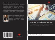 Borítókép a  Insertion in the Labour Market - hoz