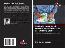 Couverture de Capire la crescita di bilancio nell'espansione del Welfare State