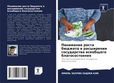 Bookcover of Понимание роста бюджета в расширении государства всеобщего благосостояния