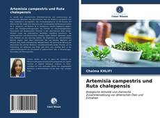 Обложка Artemisia campestris und Ruta chalepensis