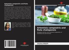 Artemisia campestris and Ruta chalepensis的封面