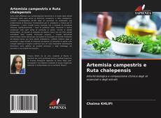 Buchcover von Artemisia campestris e Ruta chalepensis