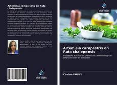 Bookcover of Artemisia campestris en Ruta chalepensis