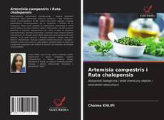 Bookcover of Artemisia campestris i Ruta chalepensis