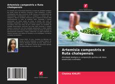 Buchcover von Artemisia campestris e Ruta chalepensis