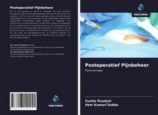 Bookcover of Postoperatief Pijnbeheer
