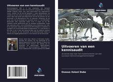 Bookcover of Uitvoeren van een kennisaudit