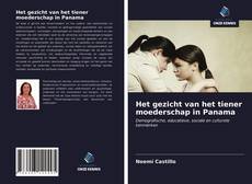 Bookcover of Het gezicht van het tiener moederschap in Panama