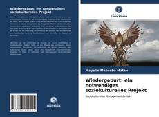 Wiedergeburt: ein notwendiges soziokulturelles Projekt的封面