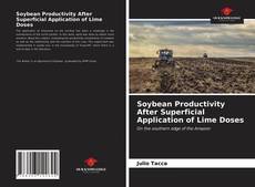 Soybean Productivity After Superficial Application of Lime Doses的封面