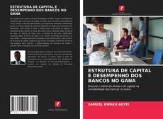 Copertina di ESTRUTURA DE CAPITAL E DESEMPENHO DOS BANCOS NO GANA