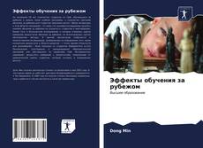 Эффекты обучения за рубежом kitap kapağı