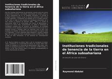 Instituciones tradicionales de tenencia de la tierra en el África subsahariana的封面