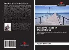Effective Peace in Mozambique的封面