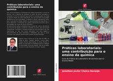 Práticas laboratoriais: uma contribuição para o ensino da química的封面