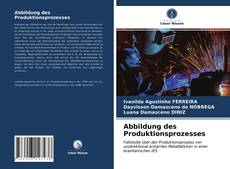 Buchcover von Abbildung des Produktionsprozesses