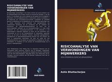 Обложка RISICOANALYSE VAN VERWONDINGEN VAN MIJNWERKERS