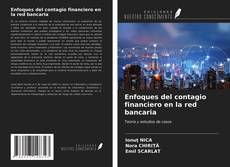 Buchcover von Enfoques del contagio financiero en la red bancaria