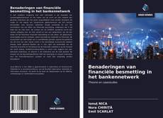 Bookcover of Benaderingen van financiële besmetting in het bankennetwerk