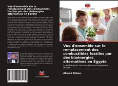 Buchcover von Vue d'ensemble sur le remplacement des combustibles fossiles par des bioénergies alternatives en Égypte