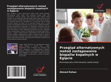 Buchcover von Przegląd alternatywnych metod zastępowania biopaliw kopalnych w Egipcie