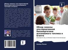 Обзор замены альтернативной биоэнергетики ископаемого топлива в Египте的封面