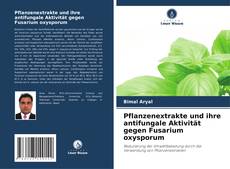 Copertina di Pflanzenextrakte und ihre antifungale Aktivität gegen Fusarium oxysporum