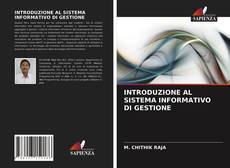 Bookcover of INTRODUZIONE AL SISTEMA INFORMATIVO DI GESTIONE