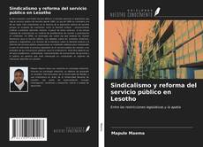 Portada del libro de Sindicalismo y reforma del servicio público en Lesotho