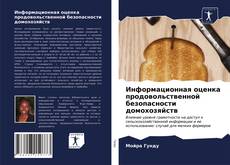 Обложка Информационная оценка продовольственной безопасности домохозяйств