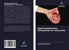 Portada del libro de Nephroprotection: Perspectief en relevantie