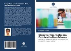 Couverture de Säugetier-Spermatozoon: Post-testikuläre Odyssee