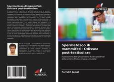 Bookcover of Spermatozoo di mammiferi: Odissea post-testicolare