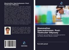 Bookcover of Mammalian Spermatozoon: Post-Testicular Odyssey