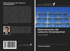 Обложка Determinantes del comercio intraindustrial