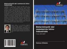 Portada del libro de Determinanti del commercio intra-industriale