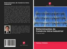 Обложка Determinantes do Comércio Intra-Industrial