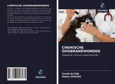 Buchcover von CHEMISCHE OOGBRANDWONDEN