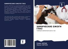 Bookcover of ХИМИЧЕСКИЕ ОЖОГИ ГЛАЗ