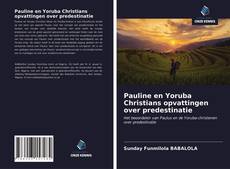 Pauline en Yoruba Christians opvattingen over predestinatie kitap kapağı