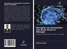 Bookcover of Oorzaken en kenmerken van Brain Drain in Ethiopië