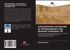 Buchcover von Interprétation structurale et stratigraphique des données sismiques 2D