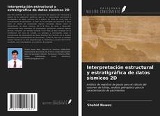 Bookcover of Interpretación estructural y estratigráfica de datos sísmicos 2D