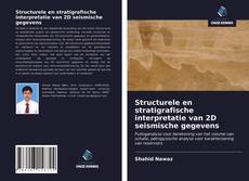 Bookcover of Structurele en stratigrafische interpretatie van 2D seismische gegevens