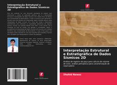 Buchcover von Interpretação Estrutural e Estratigráfica de Dados Sísmicos 2D