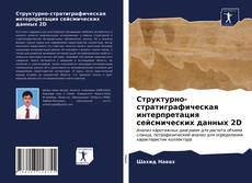 Couverture de Структурно-стратиграфическая интерпретация сейсмических данных 2D