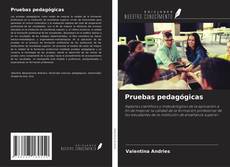 Buchcover von Pruebas pedagógicas